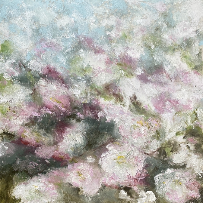 Cherry Blossoms