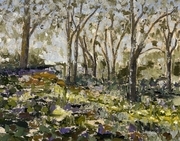 Playfair Park