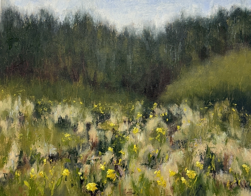 Daffodil Meadow